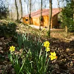 Chalet Cabane-spa Les Hauts De Monségu En Ariège Rimont