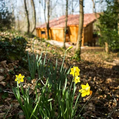 Σαλέ Hebergements Les Hauts De Monsegu En Ariege Rimont