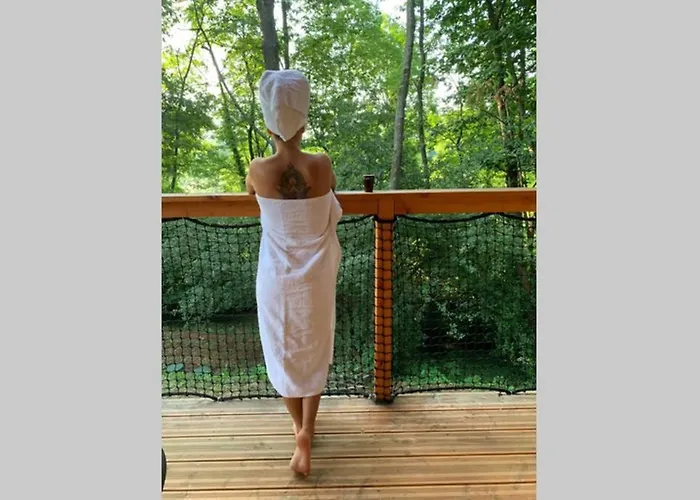 Hebergements Les Hauts De Monsegu En Ariege Rimont