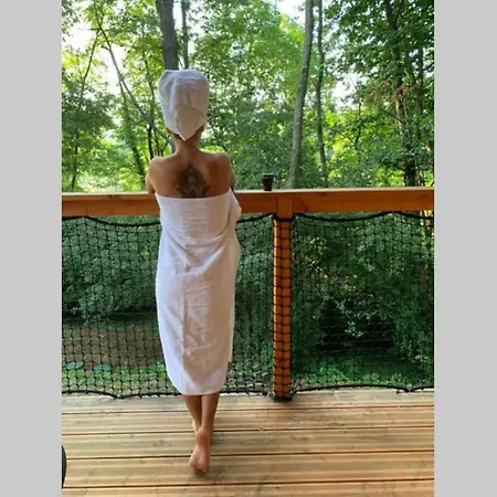 Hebergements Les Hauts De Monsegu En Ariege Rimont