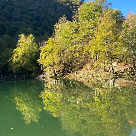Hebergements Les Hauts De Monsegu En Ariege 샬레 Rimont