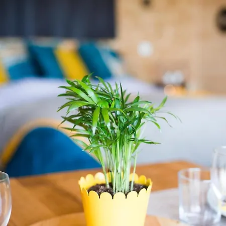 샬레 Hebergements Les Hauts De Monsegu En Ariege Rimont